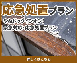 応急処置・緊急対応